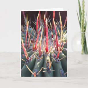 Cactus notecard kaart