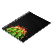 Cactus Notitieboek (Linkerzijde)