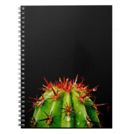 Cactus Notitieboek
