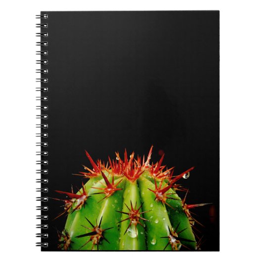 Cactus Notitieboek (Voorkant)