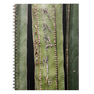 Cactus Notitieboek