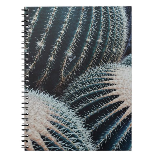 Cactus Notitieboek (Voorkant)