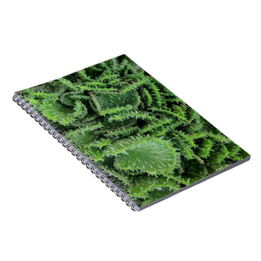 Cactus Notitieboek (Rechterzijde)