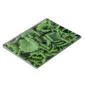 Cactus Notitieboek (Linkerzijde)