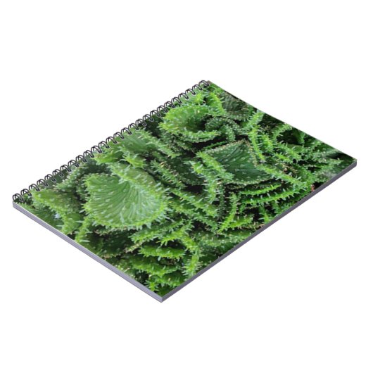 Cactus Notitieboek (Linkerzijde)