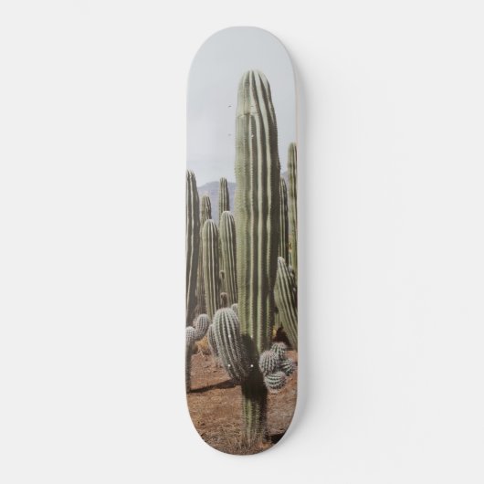 Cactus Oasis #1 #wall #decor #art Persoonlijk Skateboard (Voorkant)