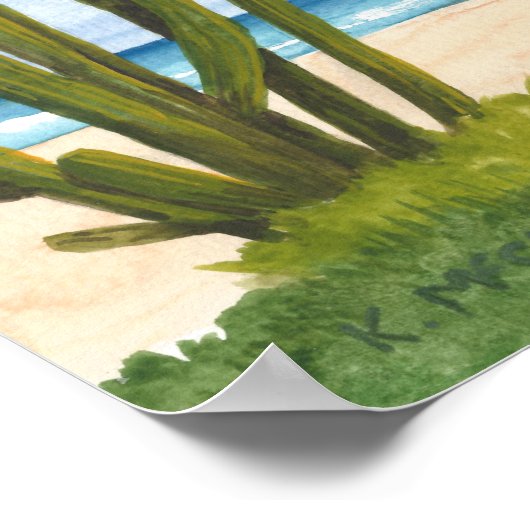 Cactus on Caribbean, Arashi Beach, Aruba Poster (Hoek)