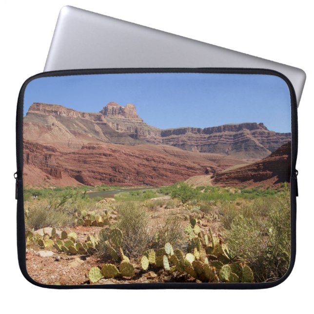 Cactus on unkar delta in Grand Canyon Electronics Laptop Sleeve (Voorkant)