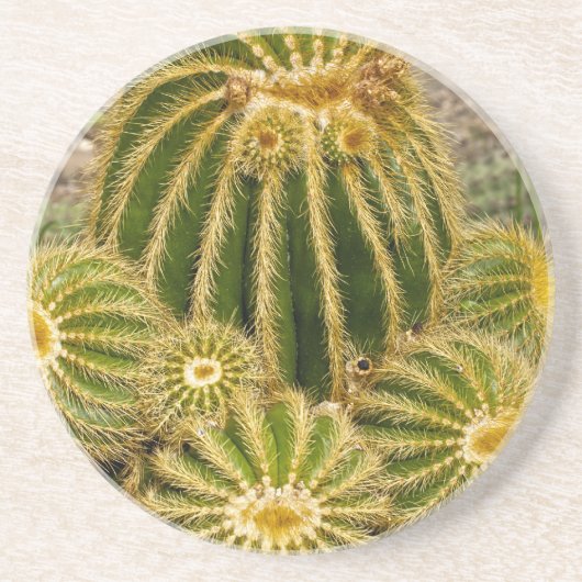 Cactus Onderzetter (Voorkant)
