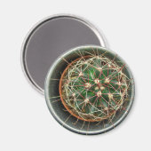 Cactus op koelkast magneet (Voorkant / Achterkant)
