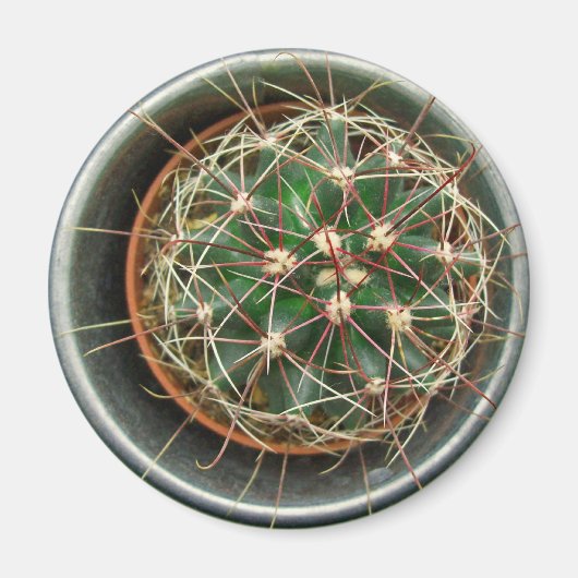 Cactus op koelkast magneet (Voorkant)