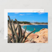 Cactus op Rocky Hilltop over Sandy Beach Briefkaart (Voorkant / Achterkant)