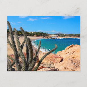 Cactus op Rocky Hilltop over Sandy Beach Briefkaart