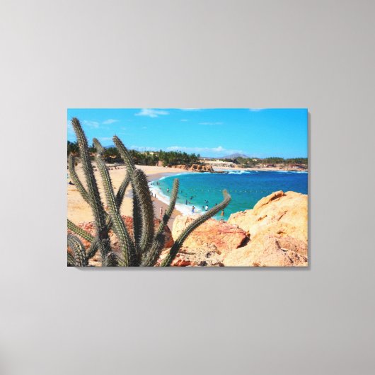 Cactus op Rocky Hilltop over Sandy Beach Canvas Afdruk (Voorkant)