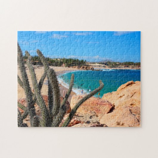 Cactus op Rocky Hilltop over Sandy Beach Legpuzzel (Horizontaal)