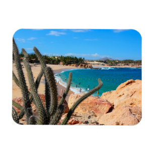Cactus op Rocky Hilltop over Sandy Beach Magneet
