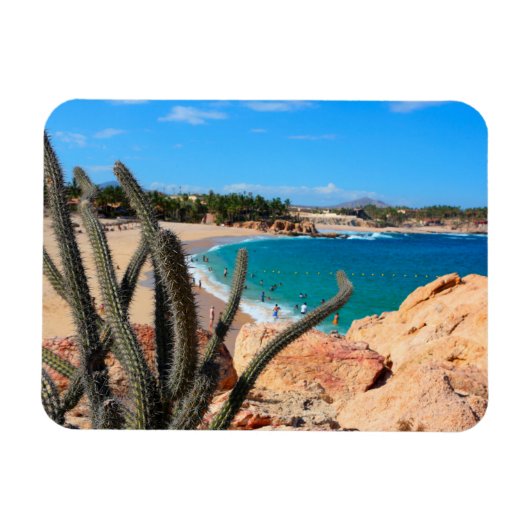 Cactus op Rocky Hilltop over Sandy Beach Magneet (Horizontaal)