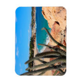 Cactus op Rocky Hilltop over Sandy Beach Magneet (Verticaal)