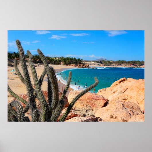 Cactus op Rocky Hilltop over Sandy Beach Poster (Voorkant)