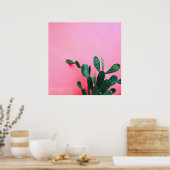 Cactus op roze achtergrond poster (Keuken)