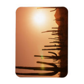 Cactus op woestijn magneet (Verticaal)