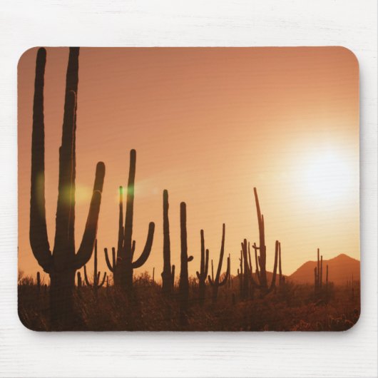 Cactus op woestijn muismat (Voorkant)