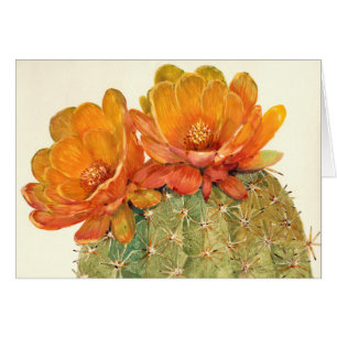 Cactus Oranje bloesems