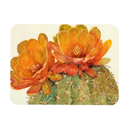 Cactus Oranje bloesems Magneet (Horizontaal)