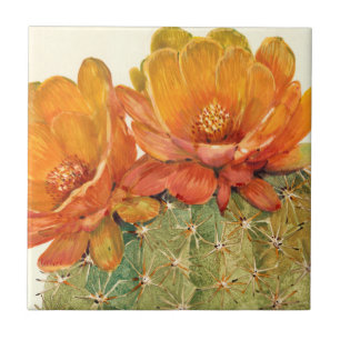 Cactus Oranje bloesems Tegeltje