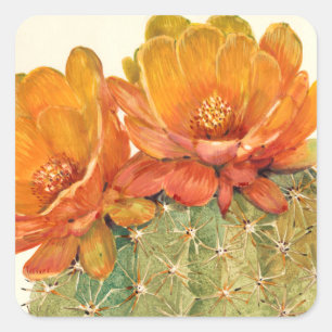 Cactus Oranje bloesems Vierkante Sticker