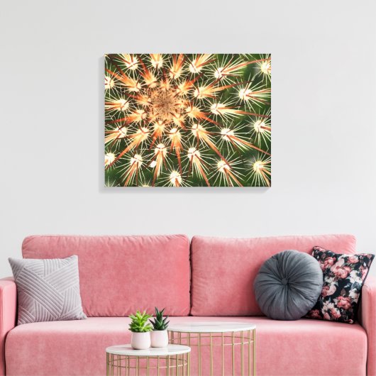Cactus oranje en witte stekels canvas afdruk (Insitu (Woonkamer))