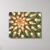 Cactus oranje en witte stekels canvas afdruk (Voorkant)