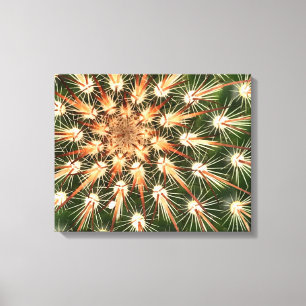 Cactus oranje en witte stekels canvas afdruk