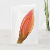 Cactus Orchidee Bud Sinaasappel Bloem Art Note Kaa Kaart (Voorkant)