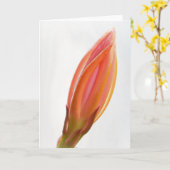 Cactus Orchidee Bud Sinaasappel Bloem Art Note Kaa Kaart (Gele Bloem)