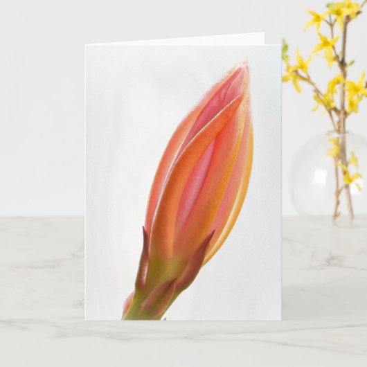 Cactus Orchidee Bud Sinaasappel Bloem Art Note Kaa Kaart (Gele Bloem)