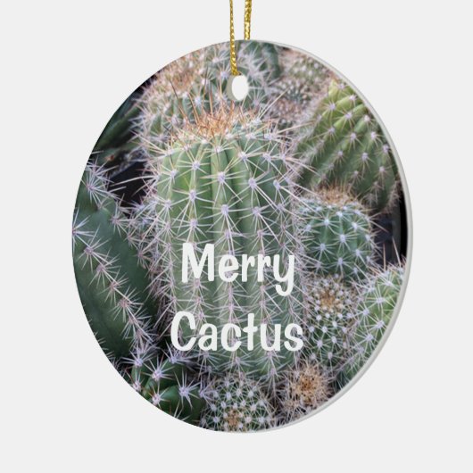 Cactus-Ornament Keramisch Ornament (Links)