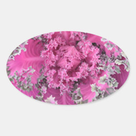 Cactus Ovale Sticker