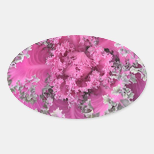 Cactus Ovale Sticker (Voorkant)