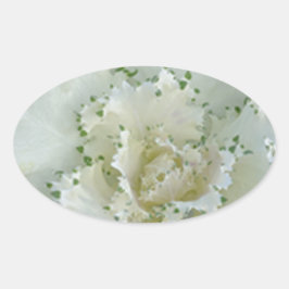 Cactus Ovale Sticker