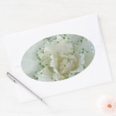 Cactus Ovale Sticker (Envelop)