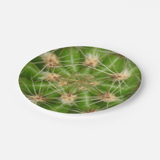 Cactus Paper Bord (Gekanteld)