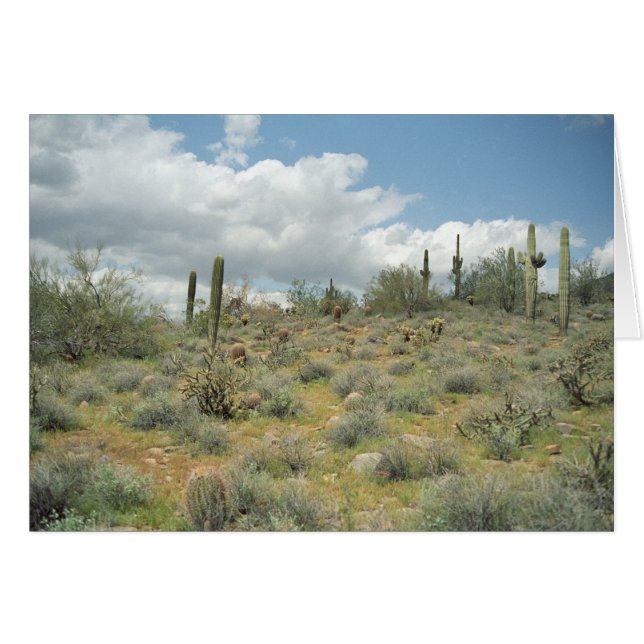 Cactus Pastoral Sweep Wenskaart of Note Card (Voorkant Horizontaal)