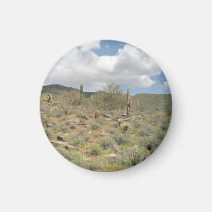 Cactus Pastorale Decoratieve Koelkast Magnet