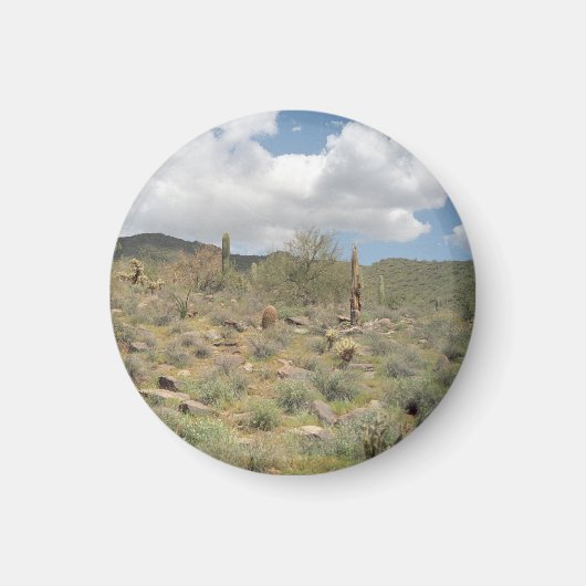 Cactus Pastorale Decoratieve Koelkast Magnet (Voorkant)