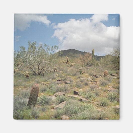 Cactus Pastorale Decoratieve Koelkast Magnet (Voorkant)