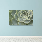 Cactus-patroon Canvas Afdruk (Insitu (Houten vloer))