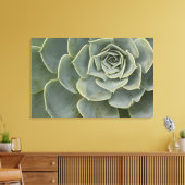 Cactus-patroon Canvas Afdruk (Insitu (Woonkamer))
