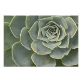 Cactus-patroon Foto Afdruk (Voorkant)