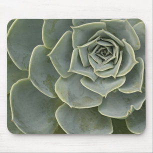 Cactus-patroon Muismat